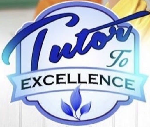 Tutor To Excellence logo